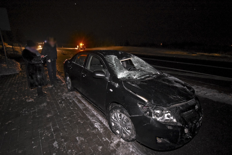 Trasa S22: Toyota i seat uderzyły w łosia zdjęcie nr 142896