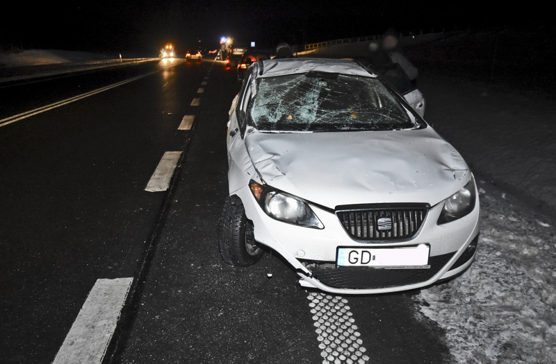 Trasa S22: Toyota i seat uderzyły w łosia zdjęcie nr 142898