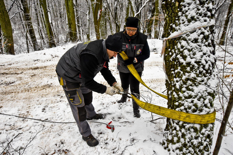 Off-road na Modrzewinie to jest to! zdjęcie nr 143279