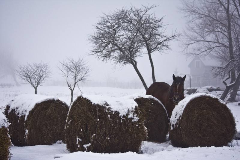 Pożar w Nowakowie zdjęcie nr 143629