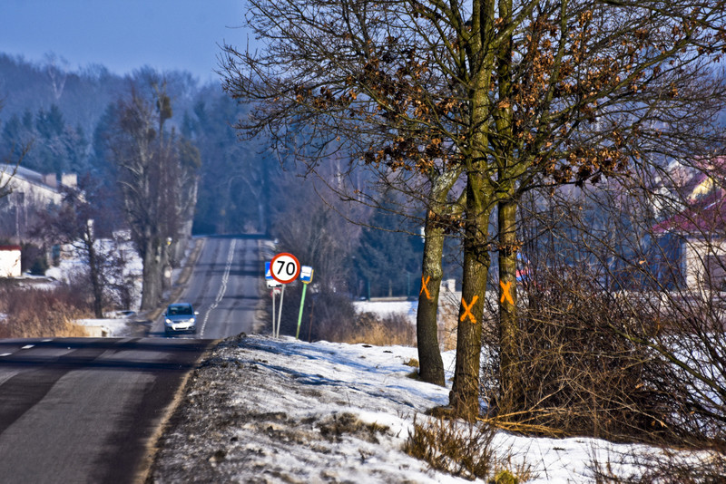 Wycinka na Fromborskiej, tu będzie ścieżka zdjęcie nr 144982