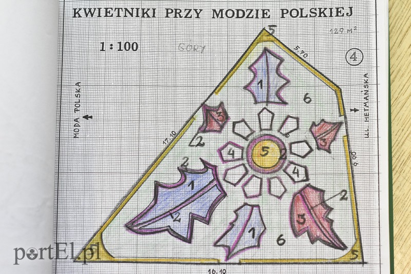 Kwiaty nie tylko dla turystów zdjęcie nr 146765