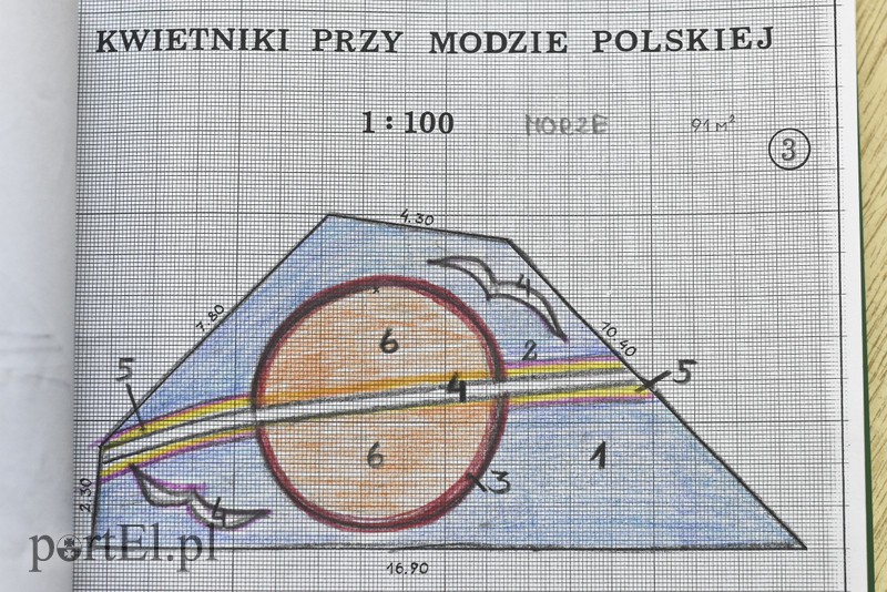 Kwiaty nie tylko dla turystów zdjęcie nr 146764