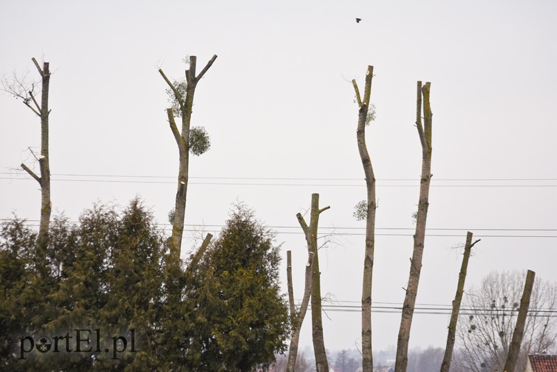 Wielkie cięcie na Zawadzie zdjęcie nr 146928