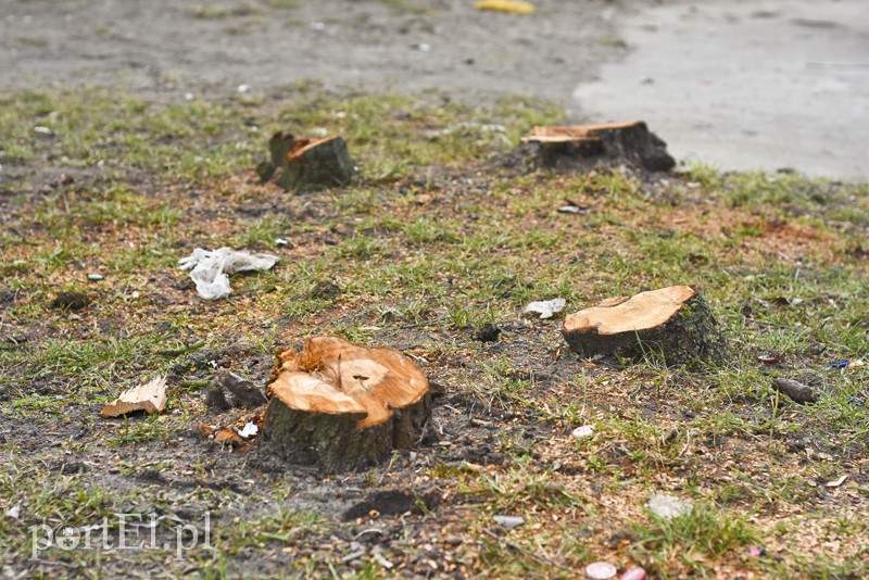 Wielkie cięcie na Zawadzie zdjęcie nr 146923