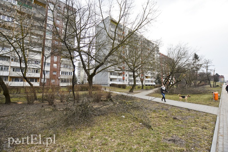 Wielkie cięcie na Zawadzie zdjęcie nr 146926