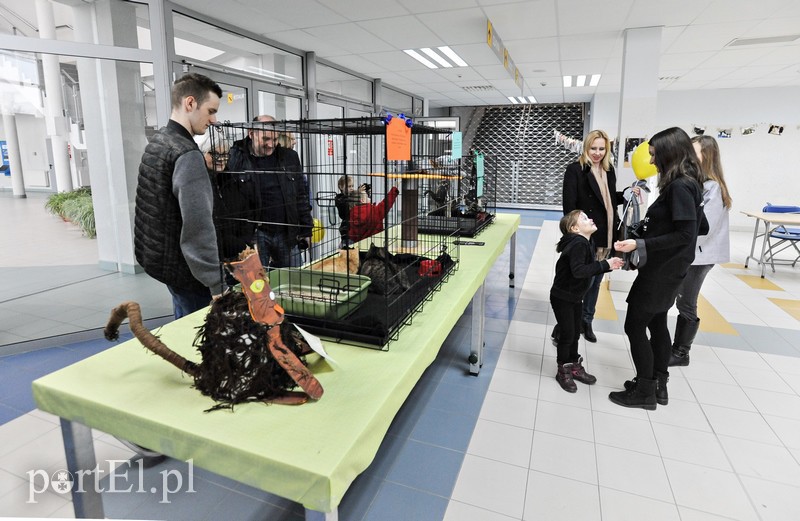 Z miłości do kotów zdjęcie nr 147146