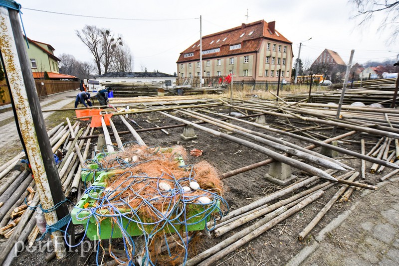 Na Zalewie rozpoczęły się "śledziowe żniwa" zdjęcie nr 147333