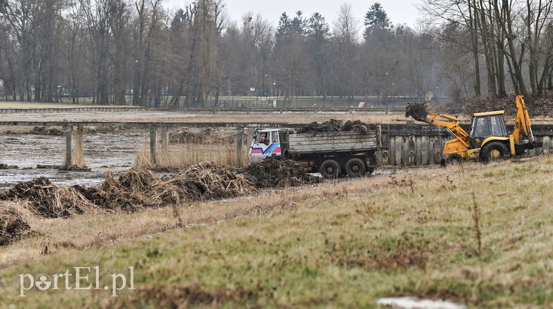 Kąpielisko sprzątane po zimie zdjęcie nr 147362