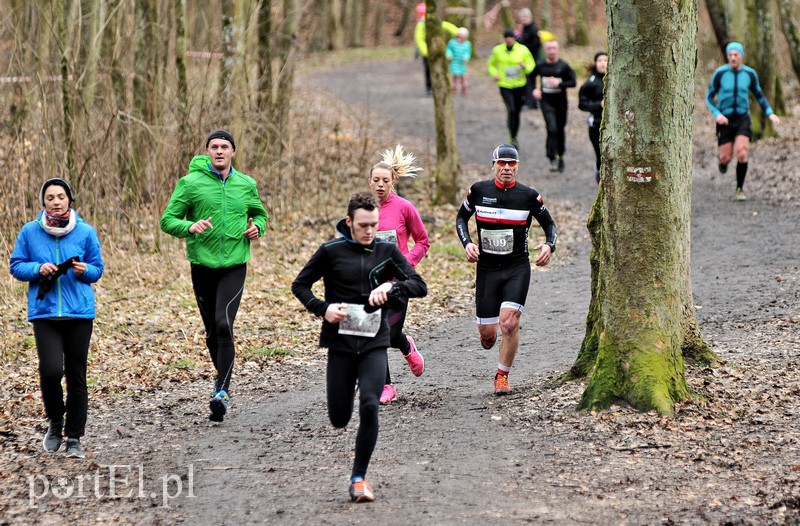 Leśny półmaraton. Tak biegacze uczcili Dzień Kobiet zdjęcie nr 147473