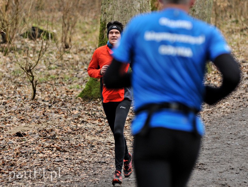 Leśny półmaraton. Tak biegacze uczcili Dzień Kobiet zdjęcie nr 147480