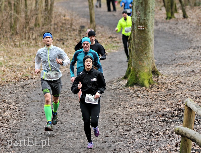 Leśny półmaraton. Tak biegacze uczcili Dzień Kobiet zdjęcie nr 147475
