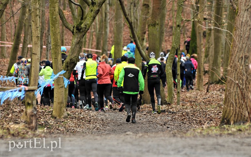 Leśny półmaraton. Tak biegacze uczcili Dzień Kobiet zdjęcie nr 147460