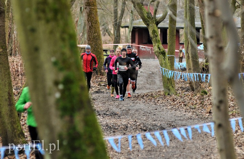 Leśny półmaraton. Tak biegacze uczcili Dzień Kobiet zdjęcie nr 147484