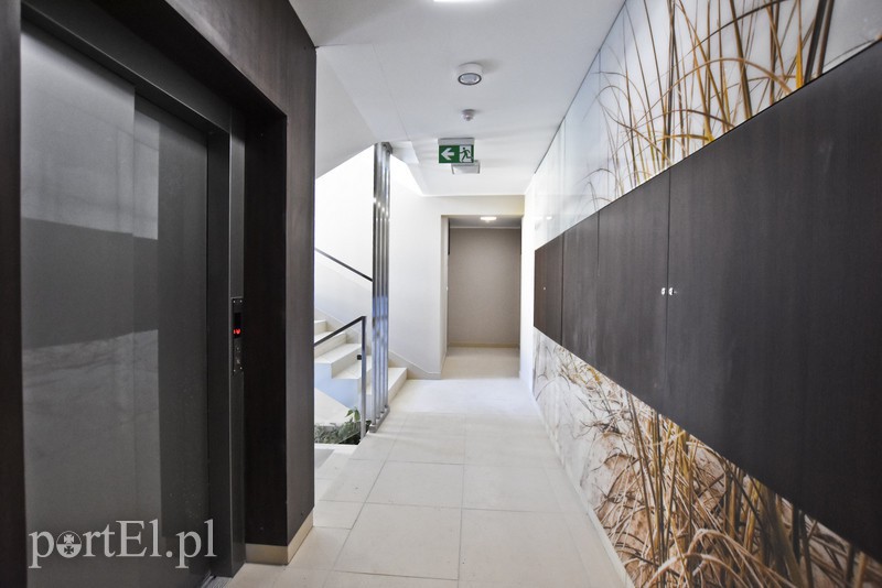 Idzie wiosna – rusza III etap zdjęcie nr 147749