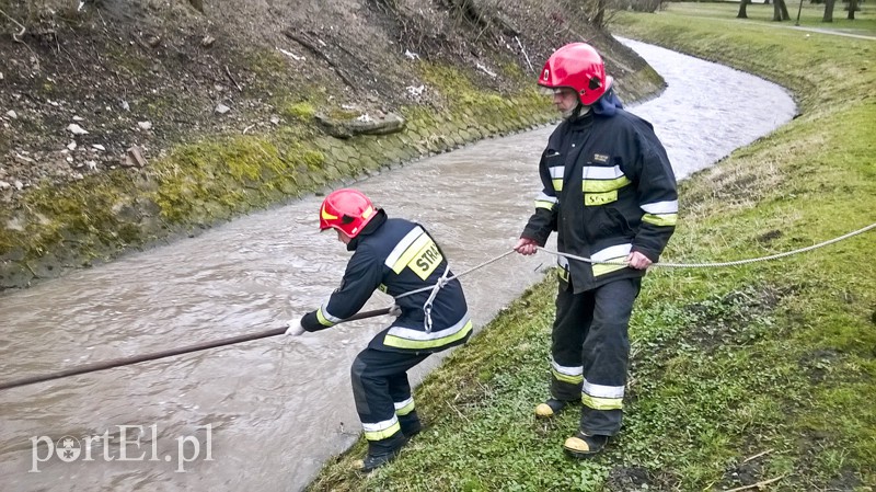 Utonął w Kumieli zdjęcie nr 147920