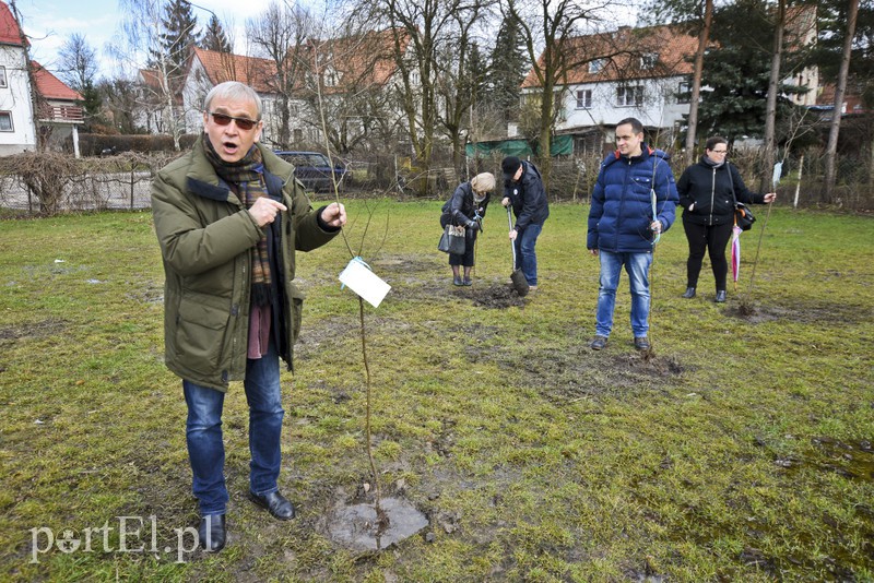 Jedni tną, inni sadzą zdjęcie nr 148114