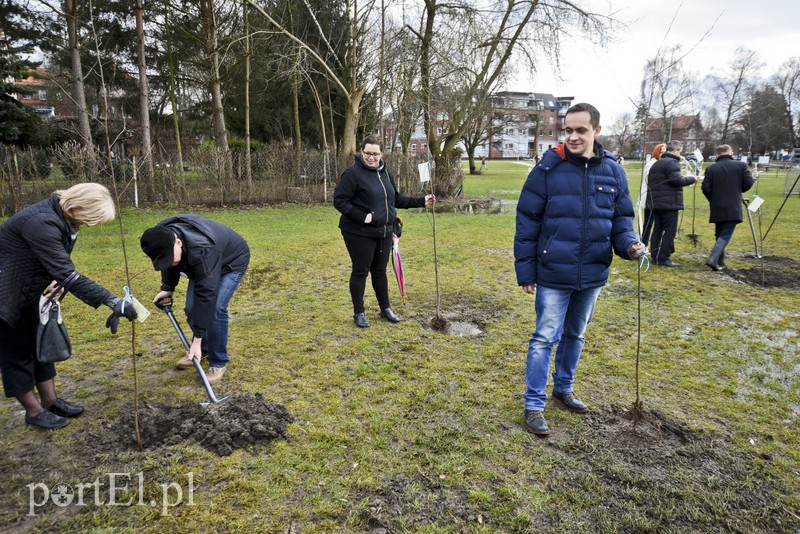 Jedni tną, inni sadzą zdjęcie nr 148115