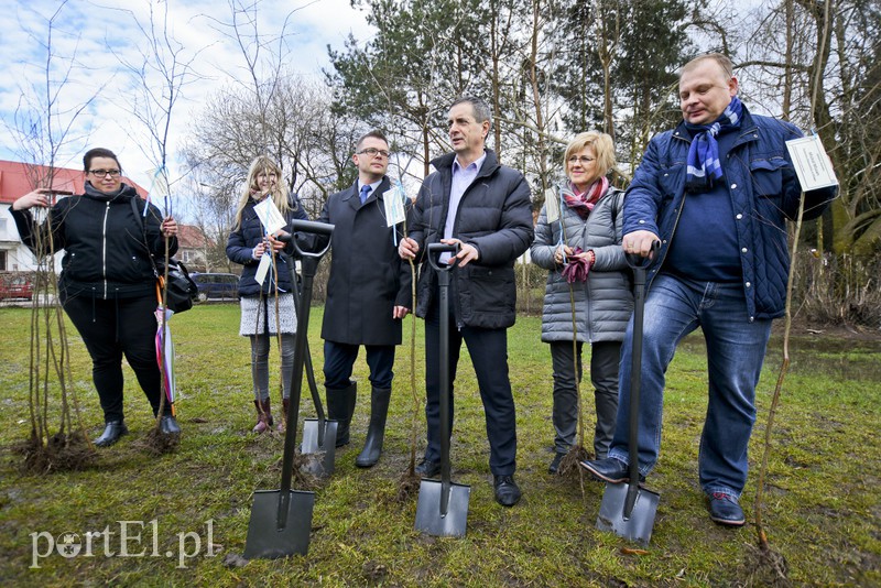 Jedni tną, inni sadzą zdjęcie nr 148110