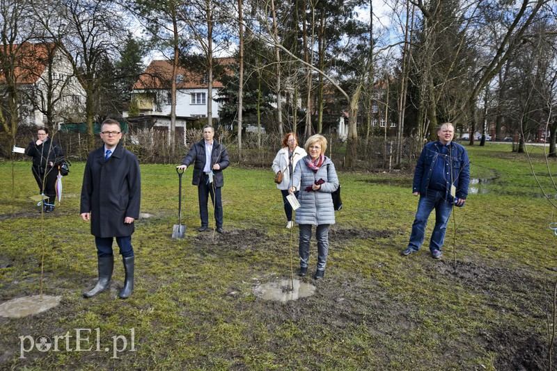 Jedni tną, inni sadzą zdjęcie nr 148126