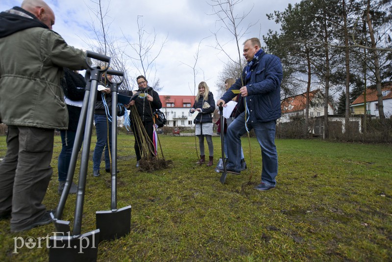 Jedni tną, inni sadzą zdjęcie nr 148105