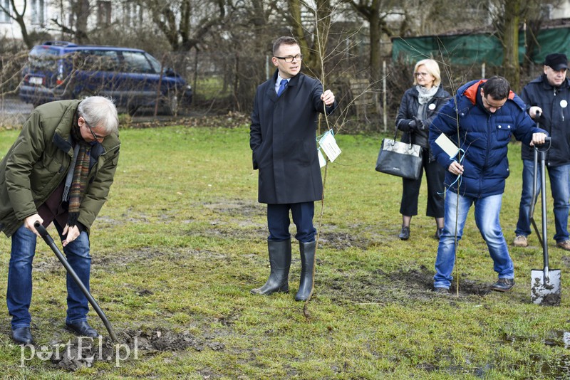 Jedni tną, inni sadzą zdjęcie nr 148119