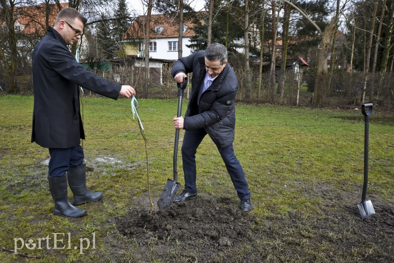 Jedni tną, inni sadzą zdjęcie nr 148113