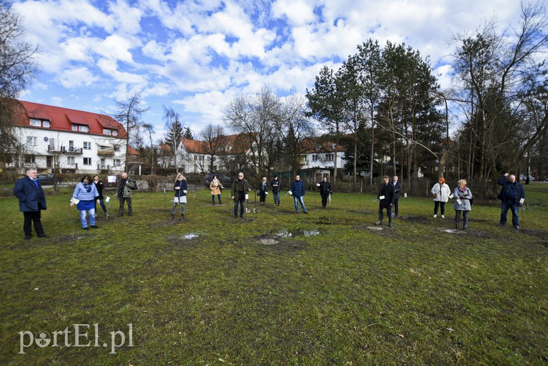 Jedni tną, inni sadzą zdjęcie nr 148124