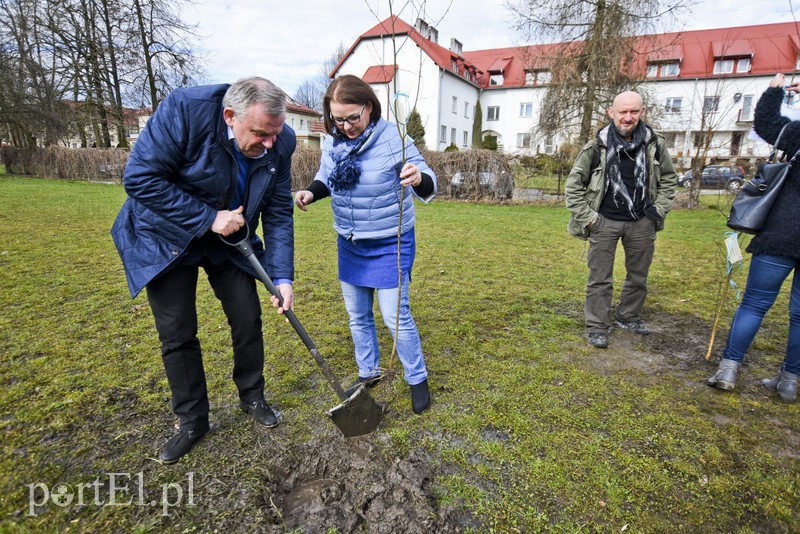 Jedni tną, inni sadzą zdjęcie nr 148120