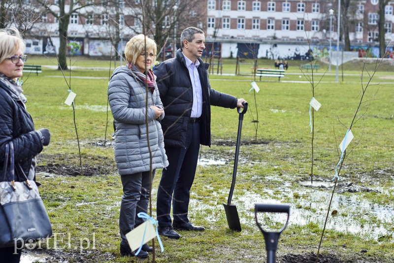 Jedni tną, inni sadzą zdjęcie nr 148122