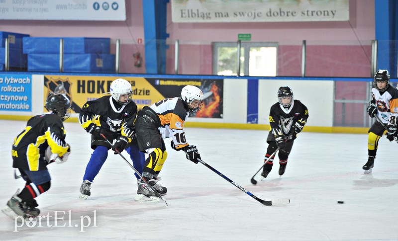 Wikińskie dziewczyny strzelają bramki zdjęcie nr 148437