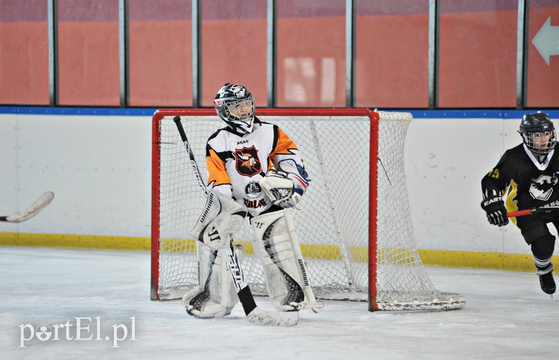 Wikińskie dziewczyny strzelają bramki zdjęcie nr 148434