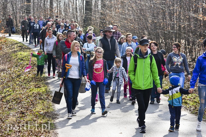 Zasadzili tysiąc nowych drzew zdjęcie nr 148849