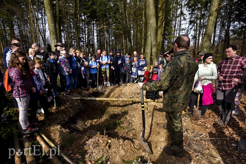 Zasadzili tysiąc nowych drzew zdjęcie nr 148853