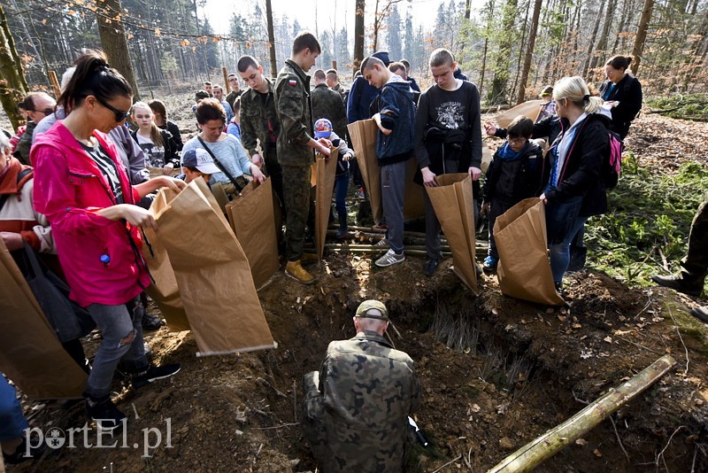 Zasadzili tysiąc nowych drzew zdjęcie nr 148855