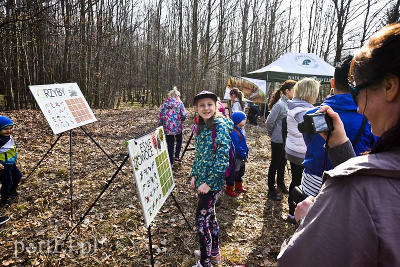 Zasadzili tysiąc nowych drzew zdjęcie nr 148846