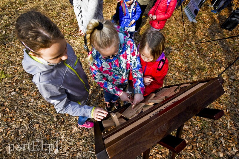Zasadzili tysiąc nowych drzew zdjęcie nr 148844