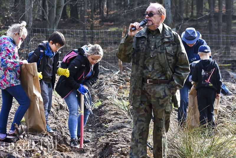 Zasadzili tysiąc nowych drzew zdjęcie nr 148866