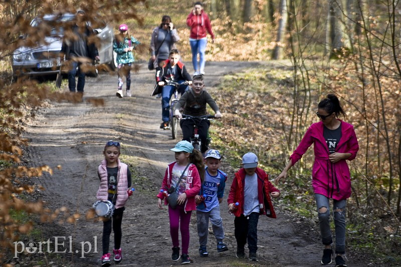 Zasadzili tysiąc nowych drzew zdjęcie nr 148852