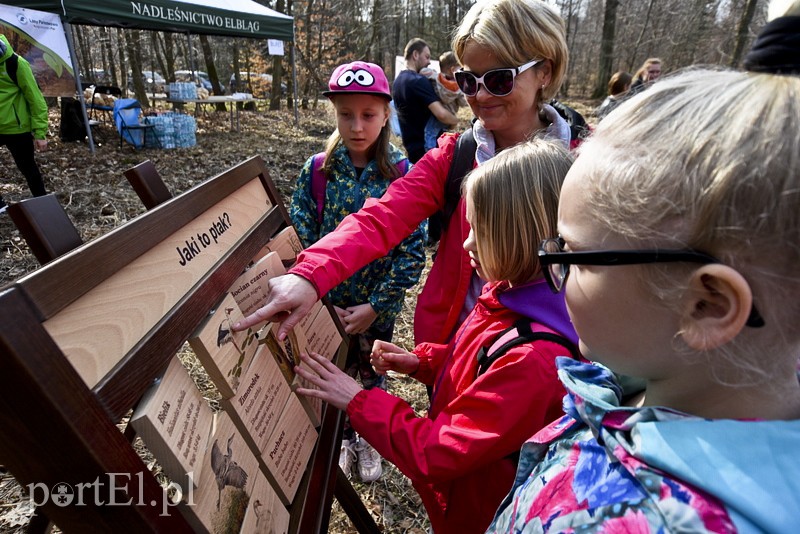 Zasadzili tysiąc nowych drzew zdjęcie nr 148848