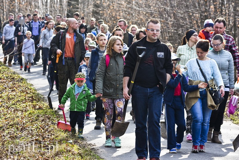Zasadzili tysiąc nowych drzew zdjęcie nr 148850