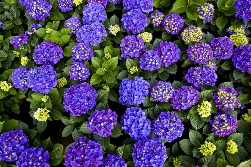 Wiosna maluje się kolorami zdjęcie nr 149279