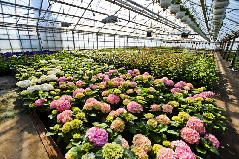 Wiosna maluje się kolorami zdjęcie nr 149276