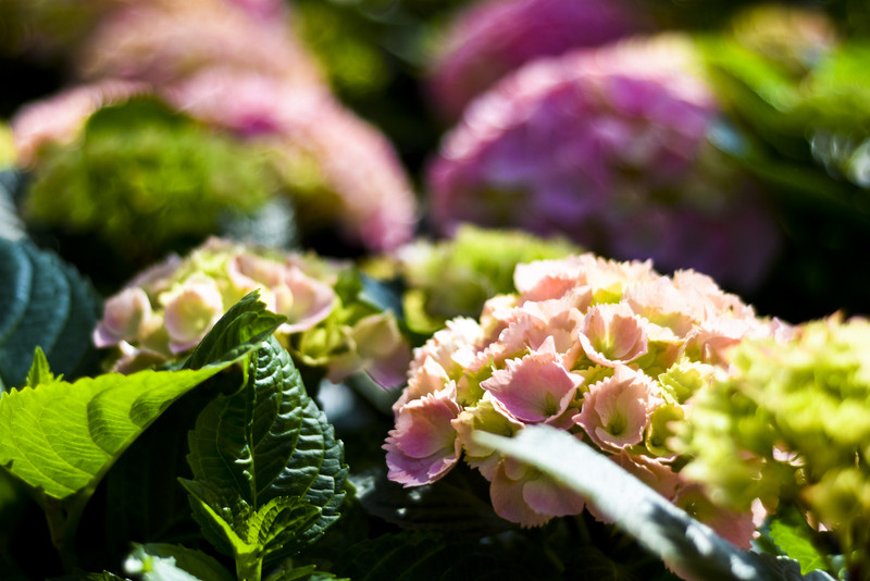 Wiosna maluje się kolorami zdjęcie nr 149281