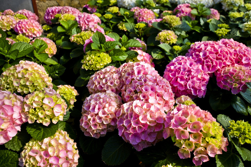 Wiosna maluje się kolorami zdjęcie nr 149280