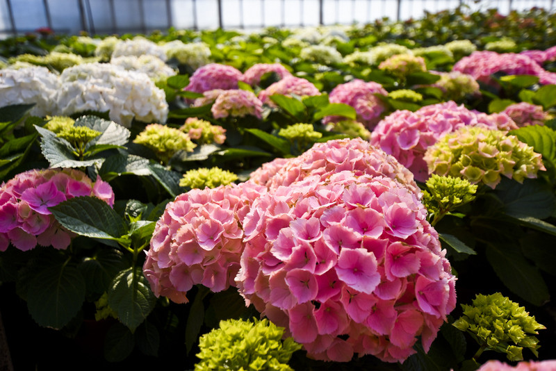 Wiosna maluje się kolorami zdjęcie nr 149277