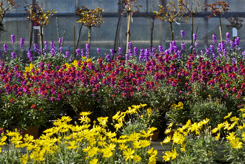 Wiosna maluje się kolorami zdjęcie nr 149263