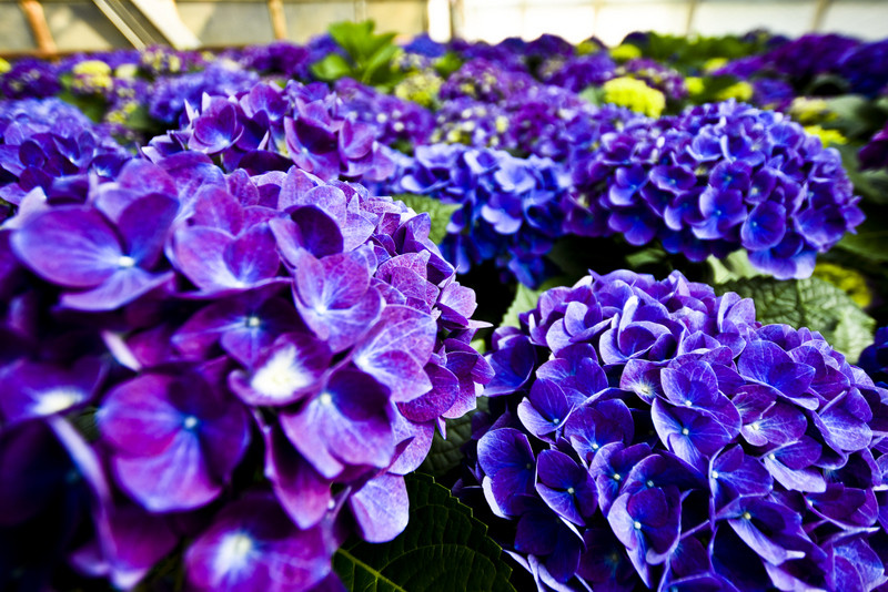 Wiosna maluje się kolorami zdjęcie nr 149278