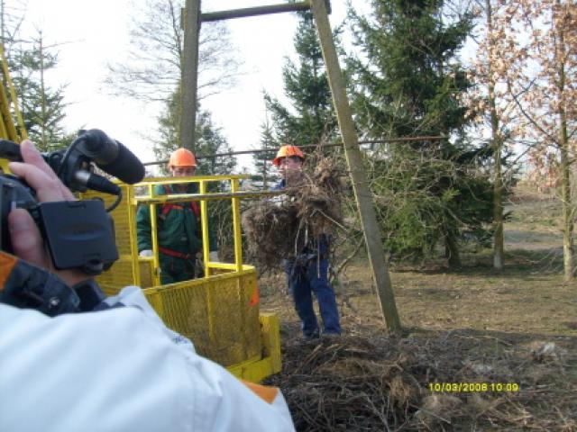 Bociani dom w Adamowie zdjęcie nr 11813
