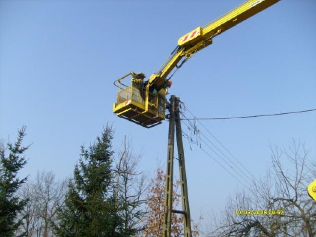 Bociani dom w Adamowie zdjęcie nr 11799